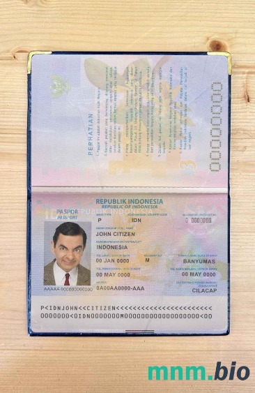 Indonezja zdjęcie do paszportu pliki PSD, skan i fotografowany obraz